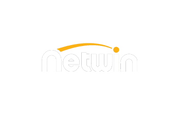 Netwin Logo